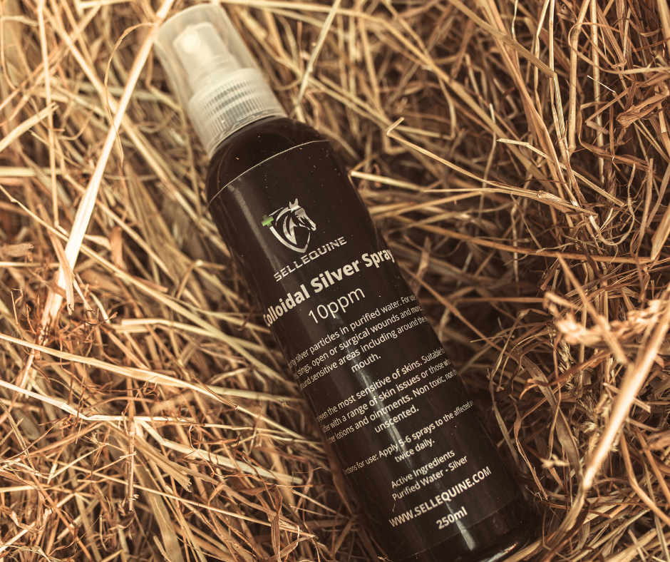 10ppm colloidal silver spray for horses