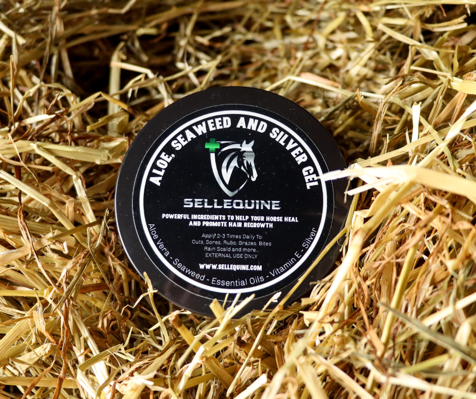 Aloe Seaweed and Silver horse wound and skin care gel