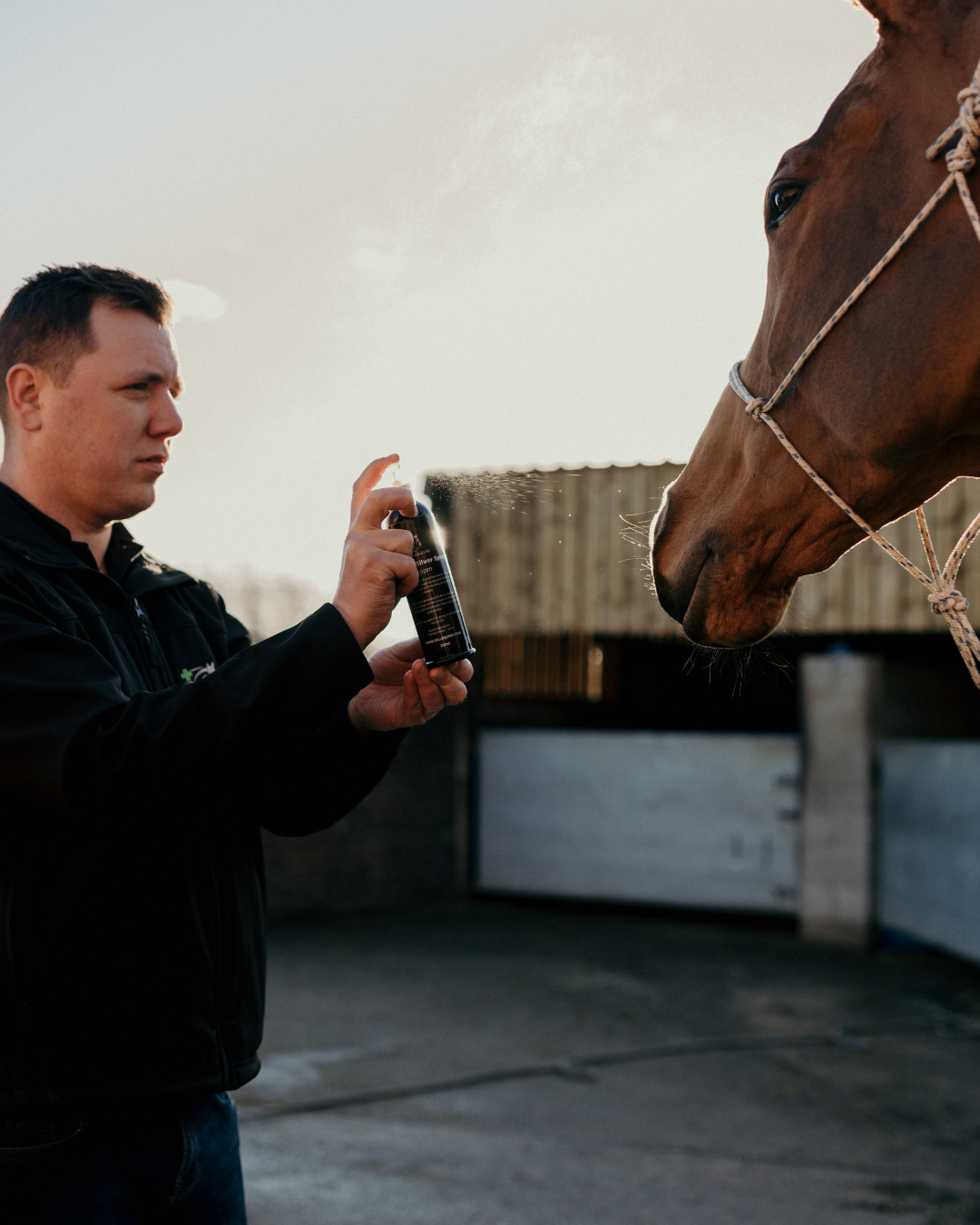 Colloidal silver spray for animals