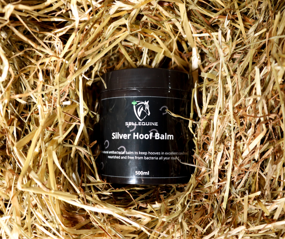 Sellequine Silver Hoof Balm for moisturising horse hooves