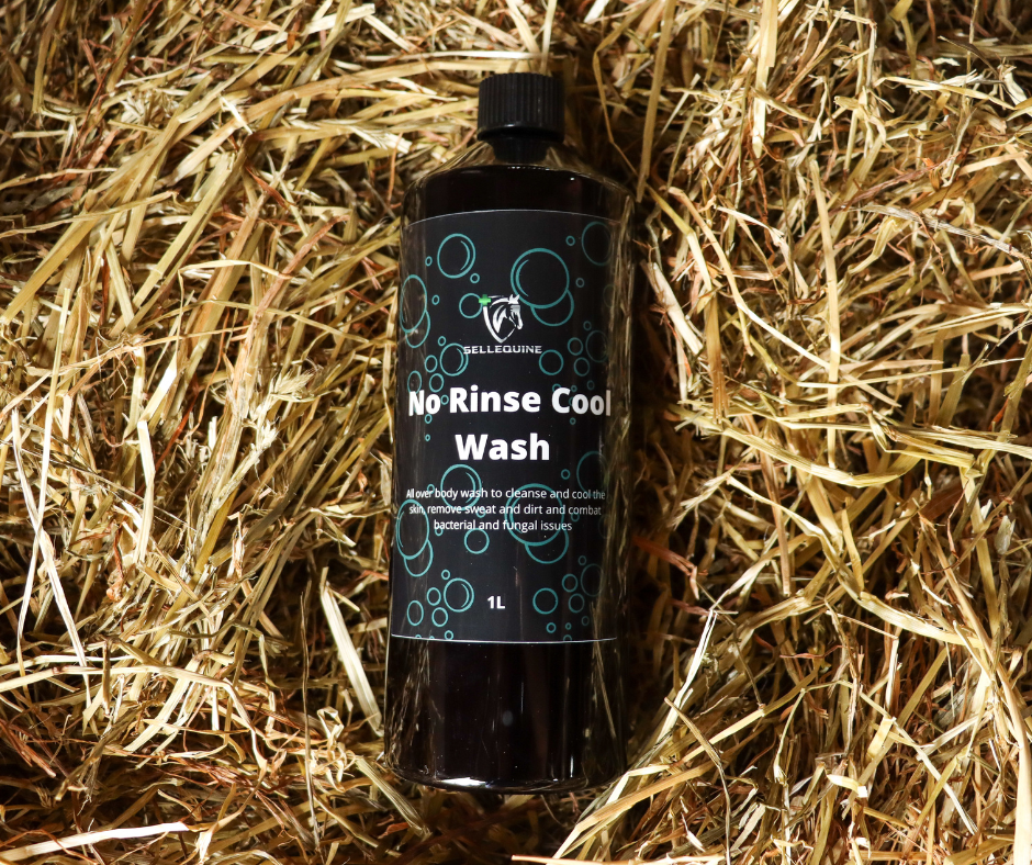 Sellequine cooling horse wash for after exercise
