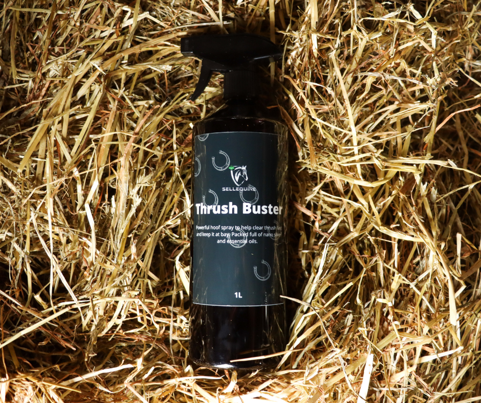 Thrush Buster horse hoof thrush treatment spray
