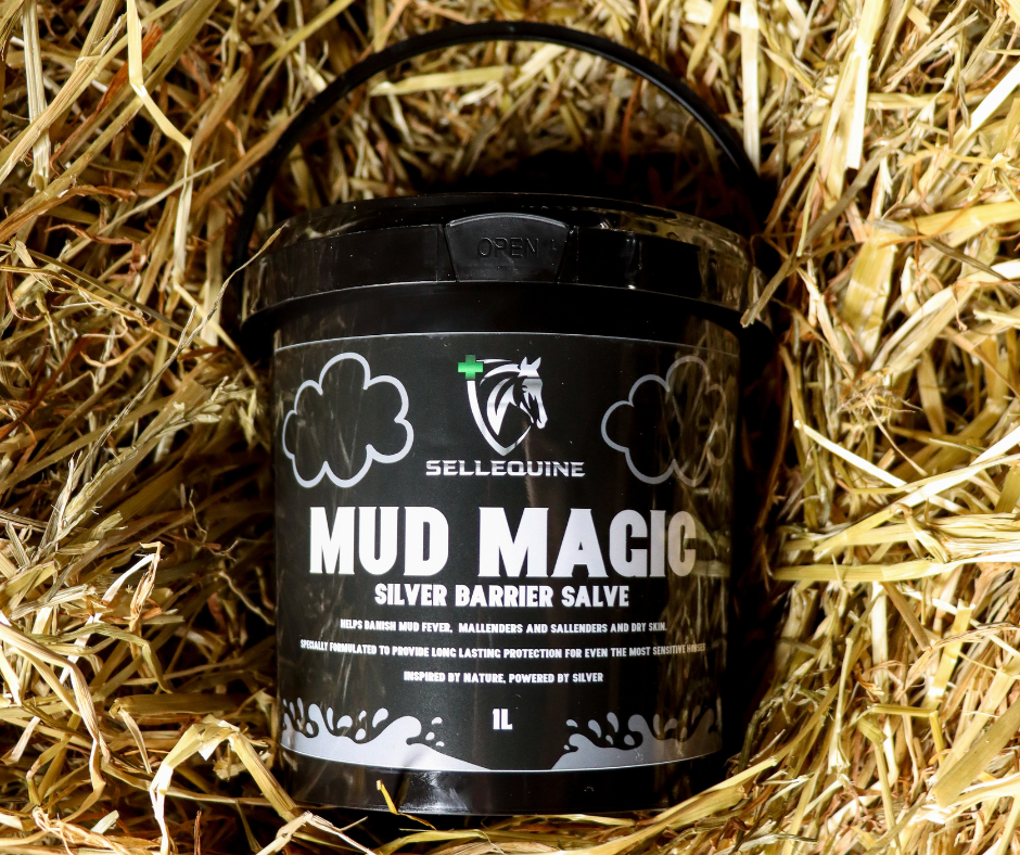 Mud Magic